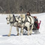 Misty Haven Carriage Sleigh Ride