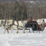 Misty Haven Carriage Sleigh Rides