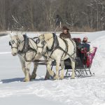 Misty Haven Carriage Sleigh Ride
